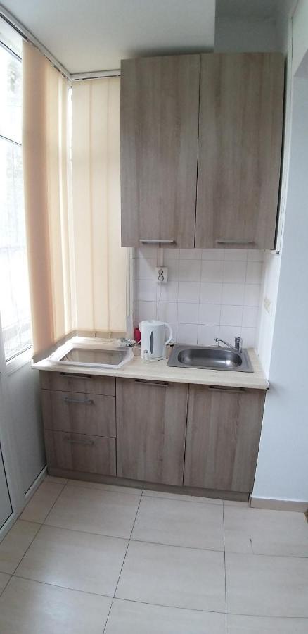 Domum George Enescu Apartment บูคาเรสต์ ภายนอก รูปภาพ